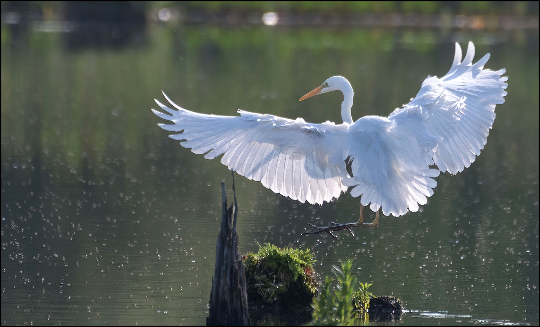 Landeanflug