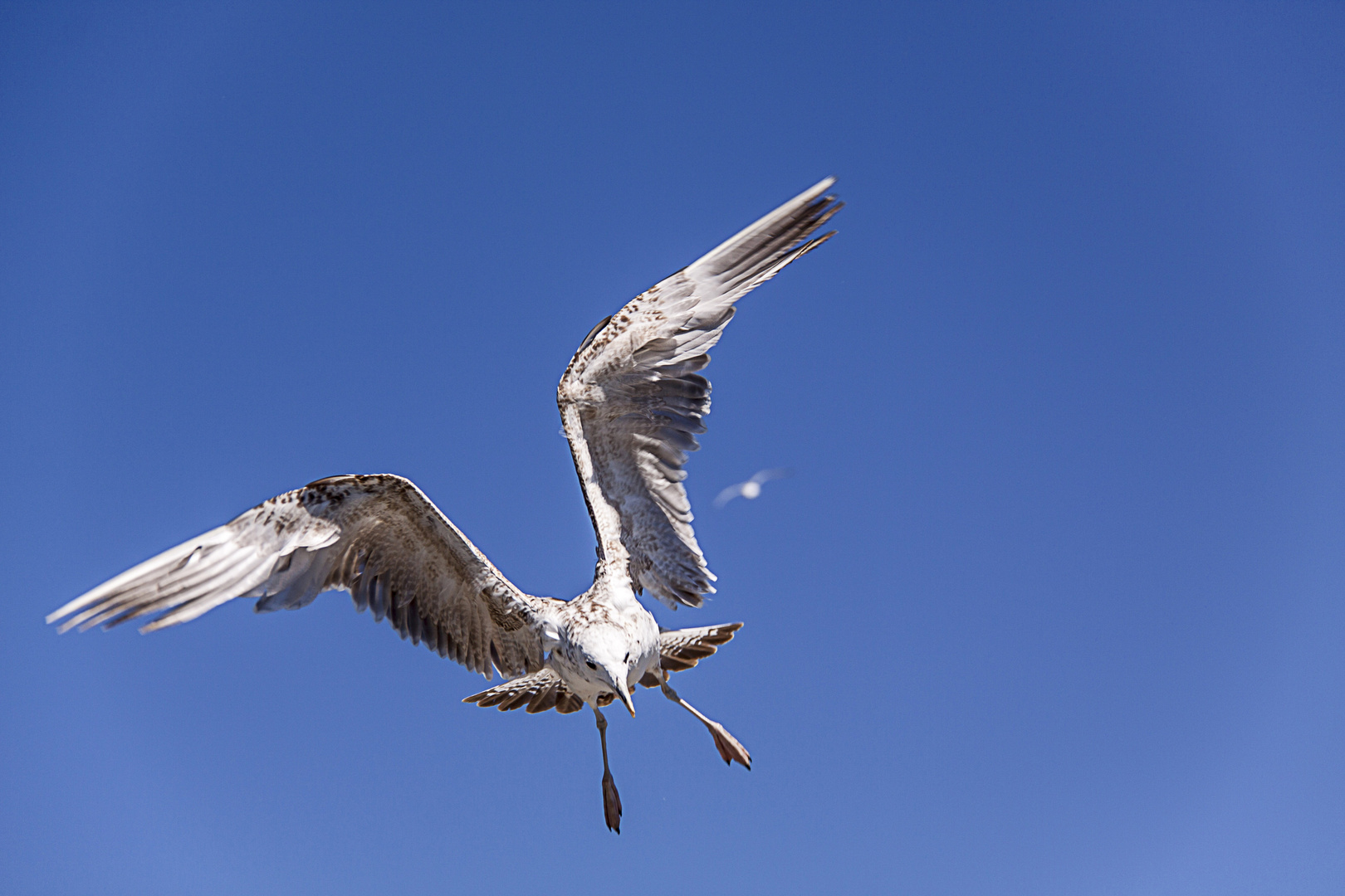 Landeanflug