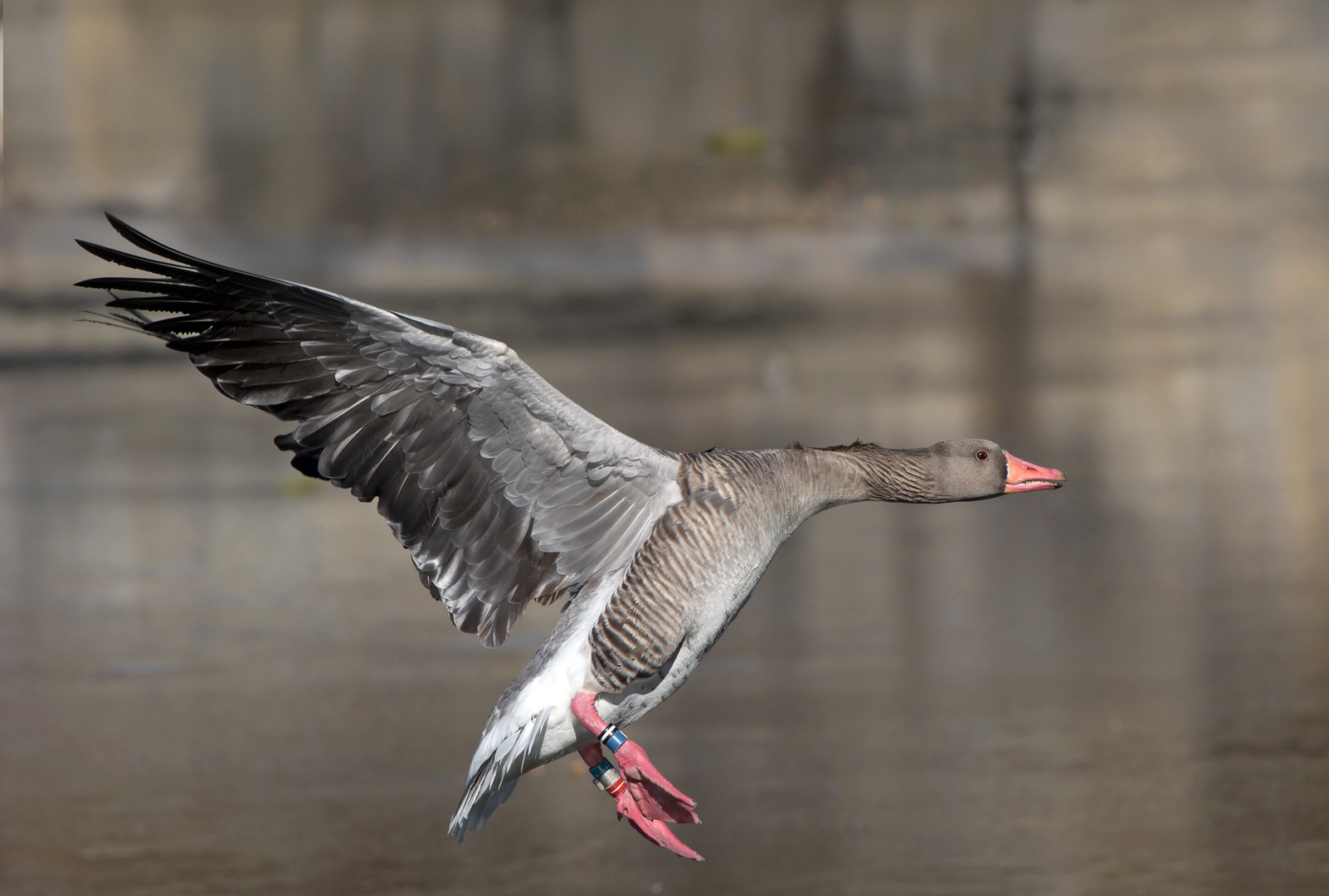 Landeanflug