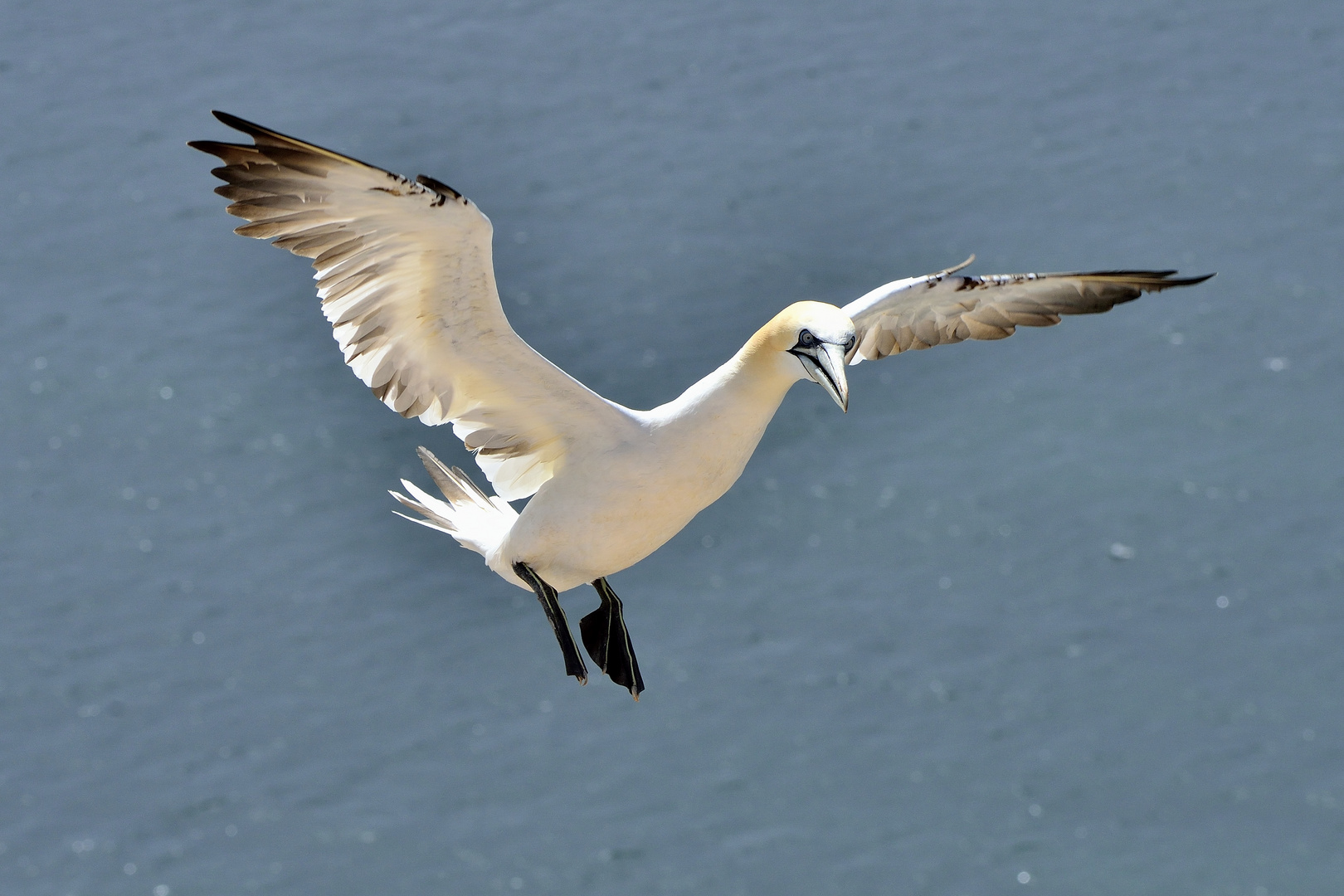 Landeanflug.