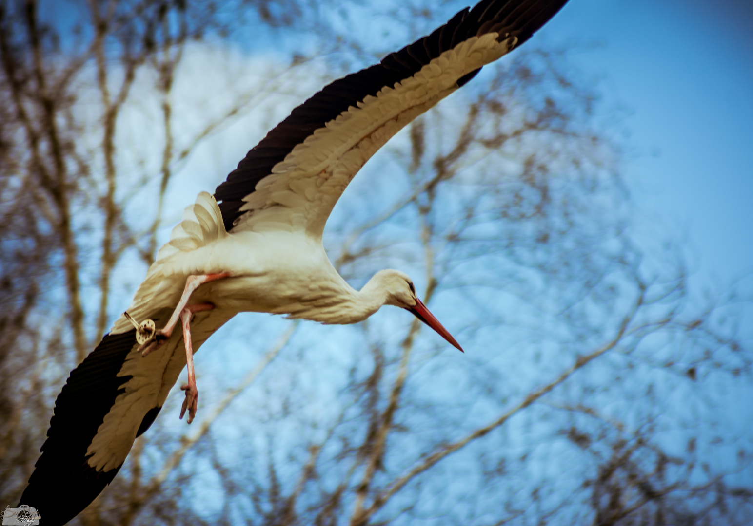 Landeanflug