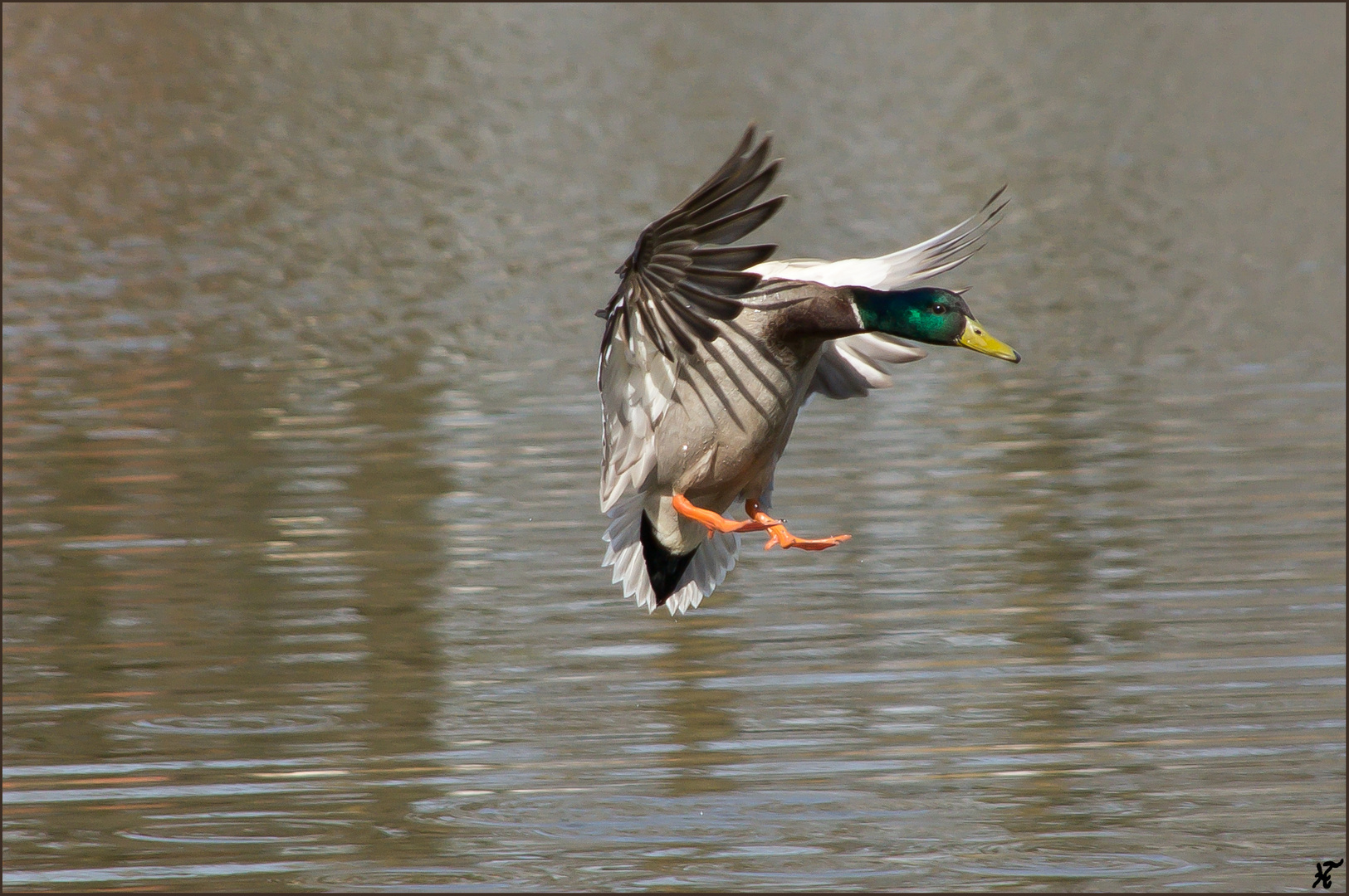 Landeanflug