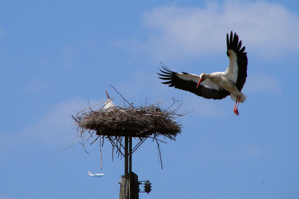 Landeanflug