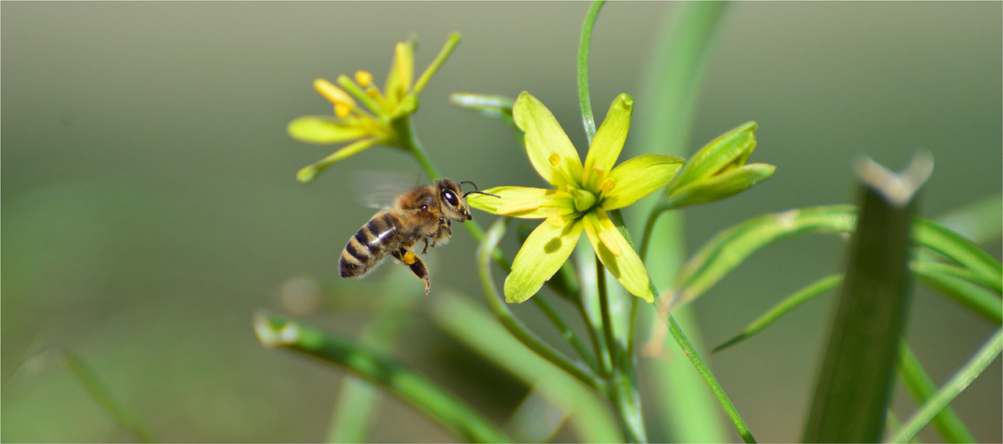 Landeanflug