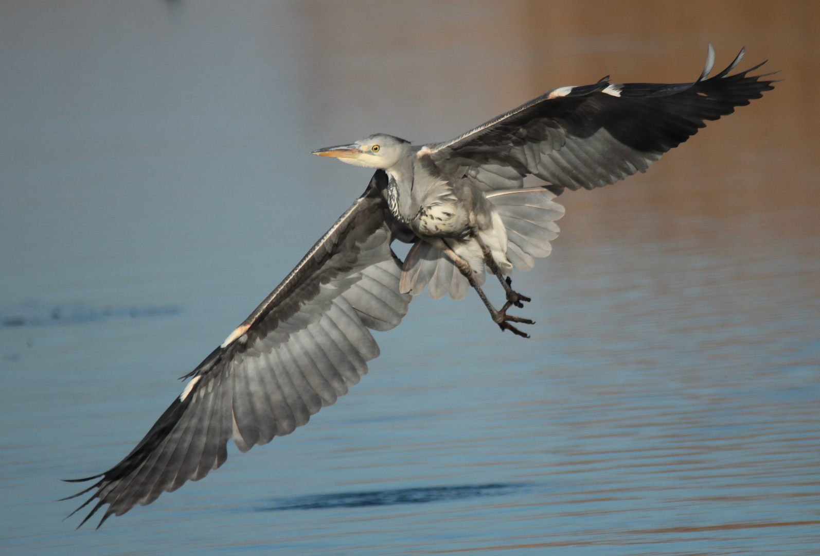 Landeanflug