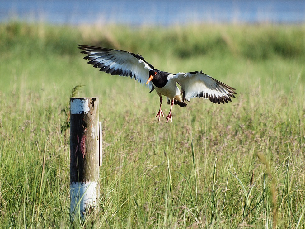 Landeanflug...