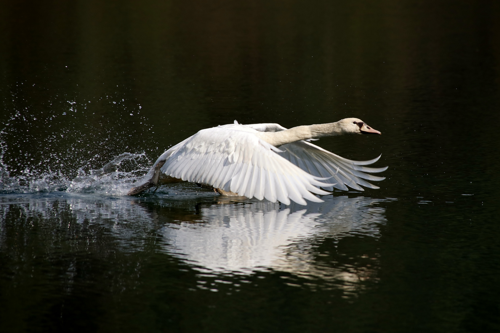 Landeanflug