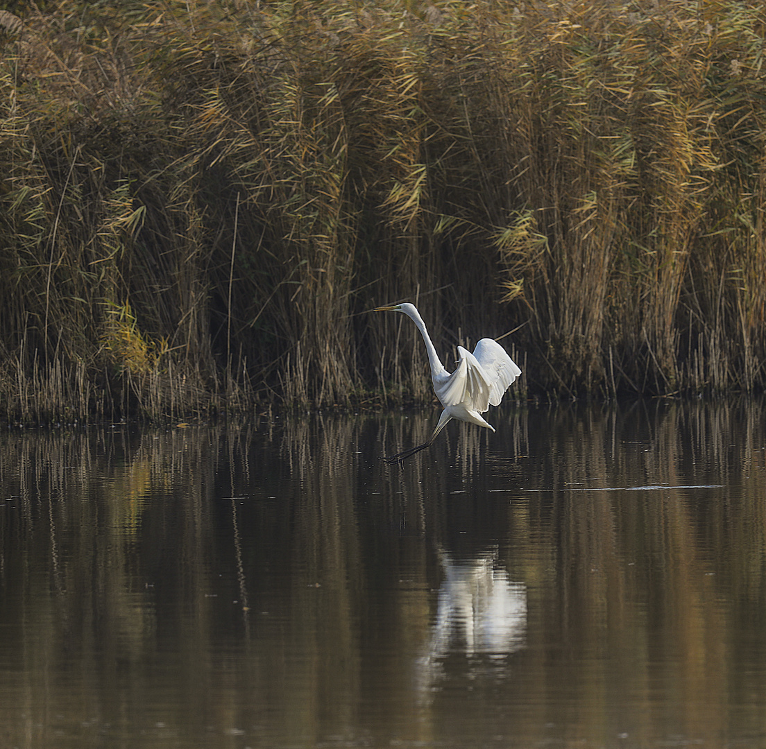 Landeanflug