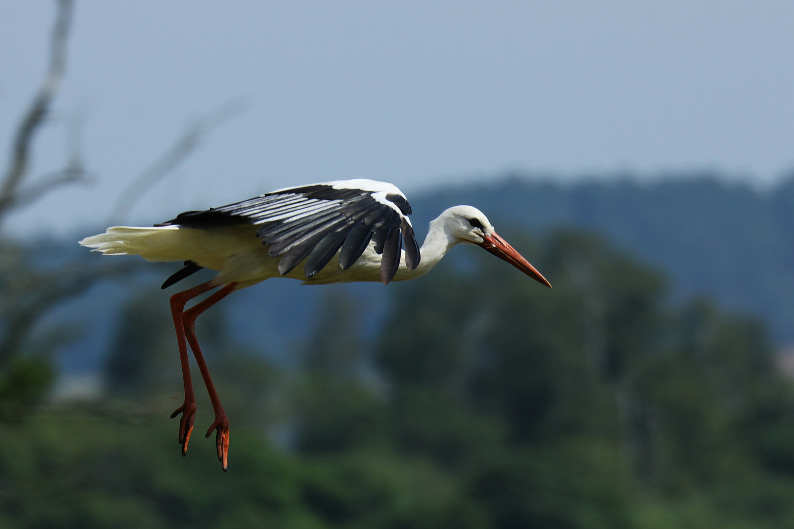 Landeanflug