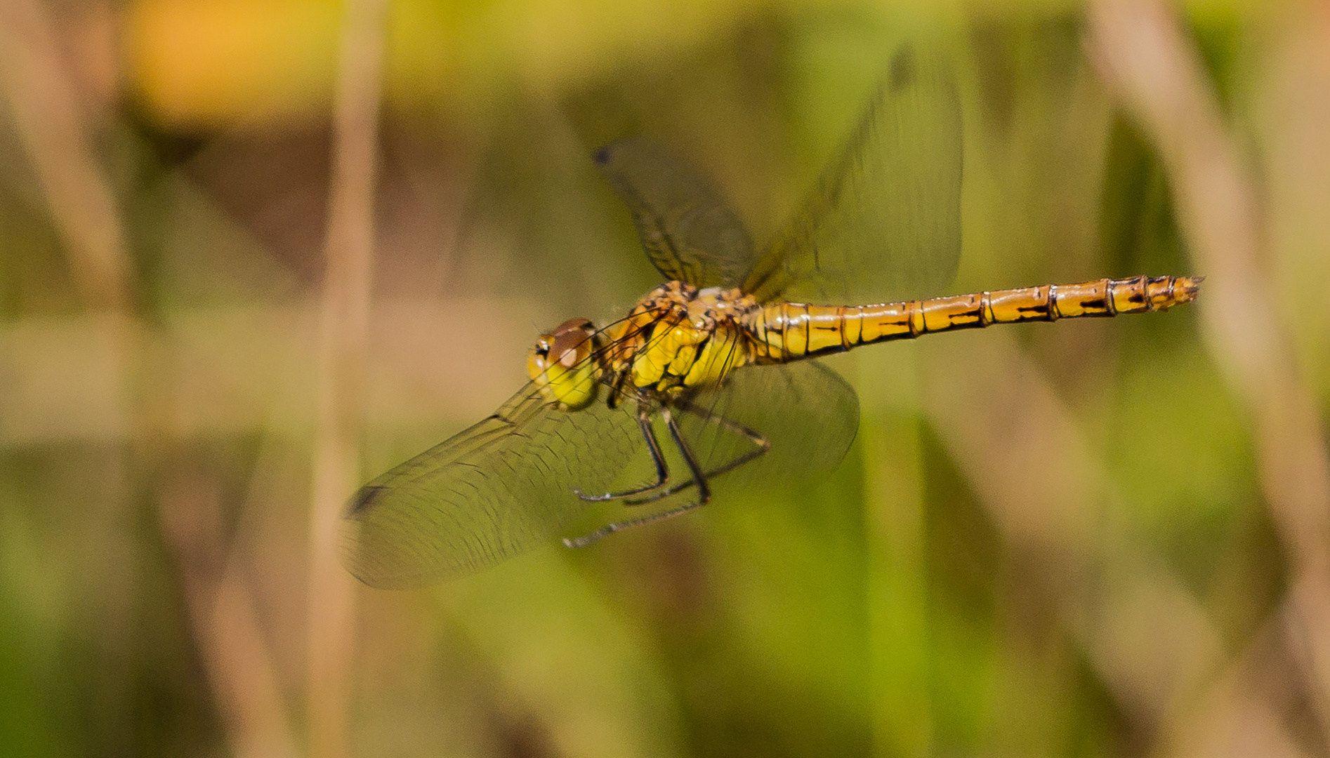 Landeanflug