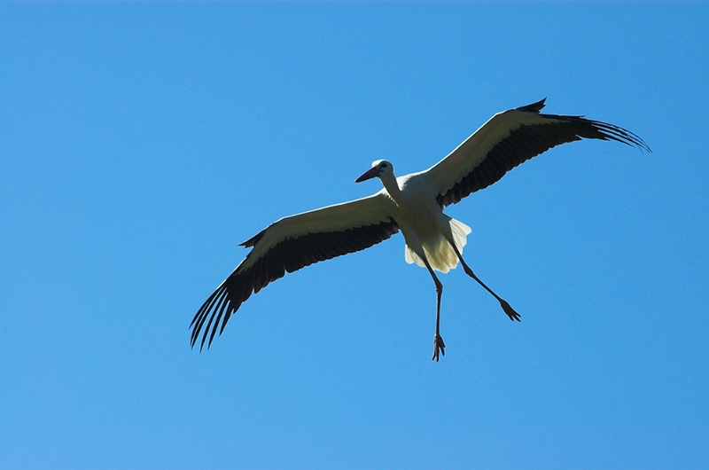 Landeanflug...