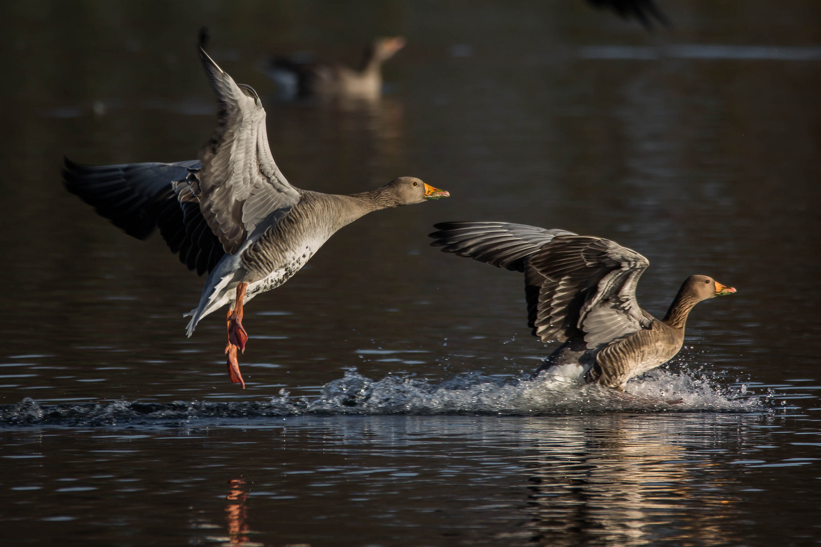 Landeanflug