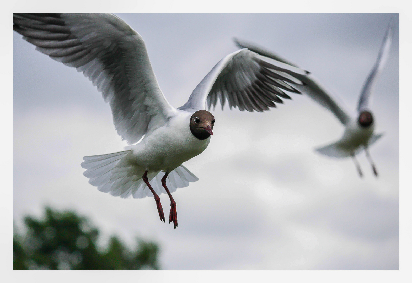 Landeanflug