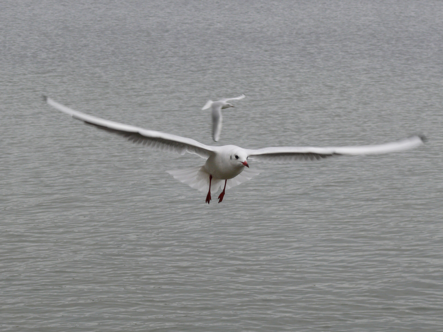 landeanflug