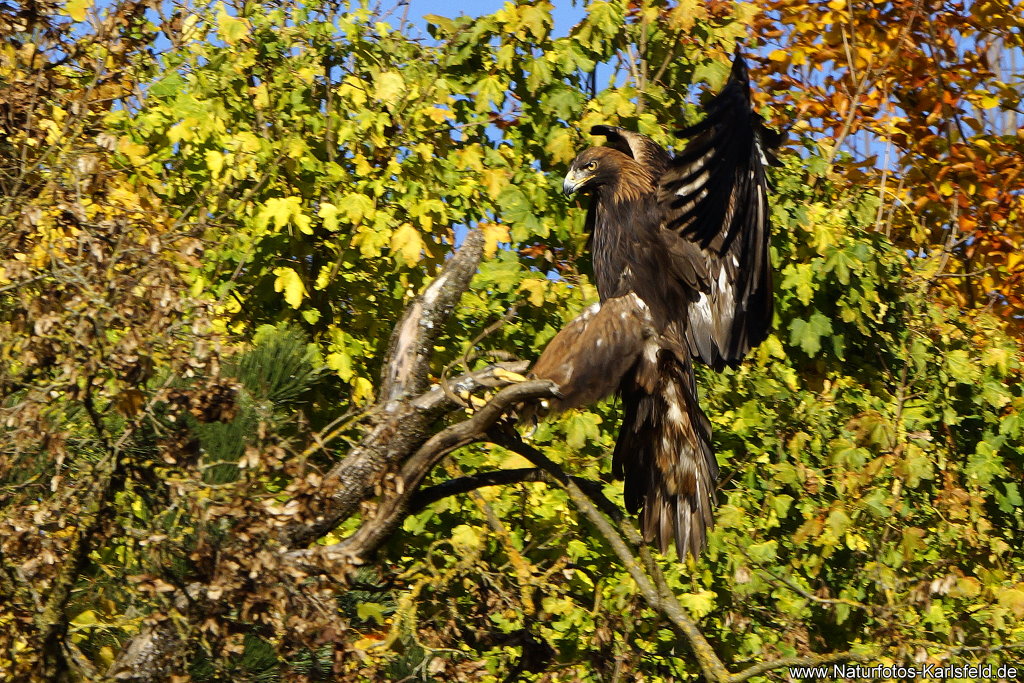 Landeanflug