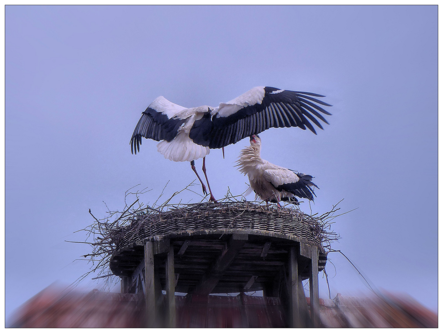 Landeanflug