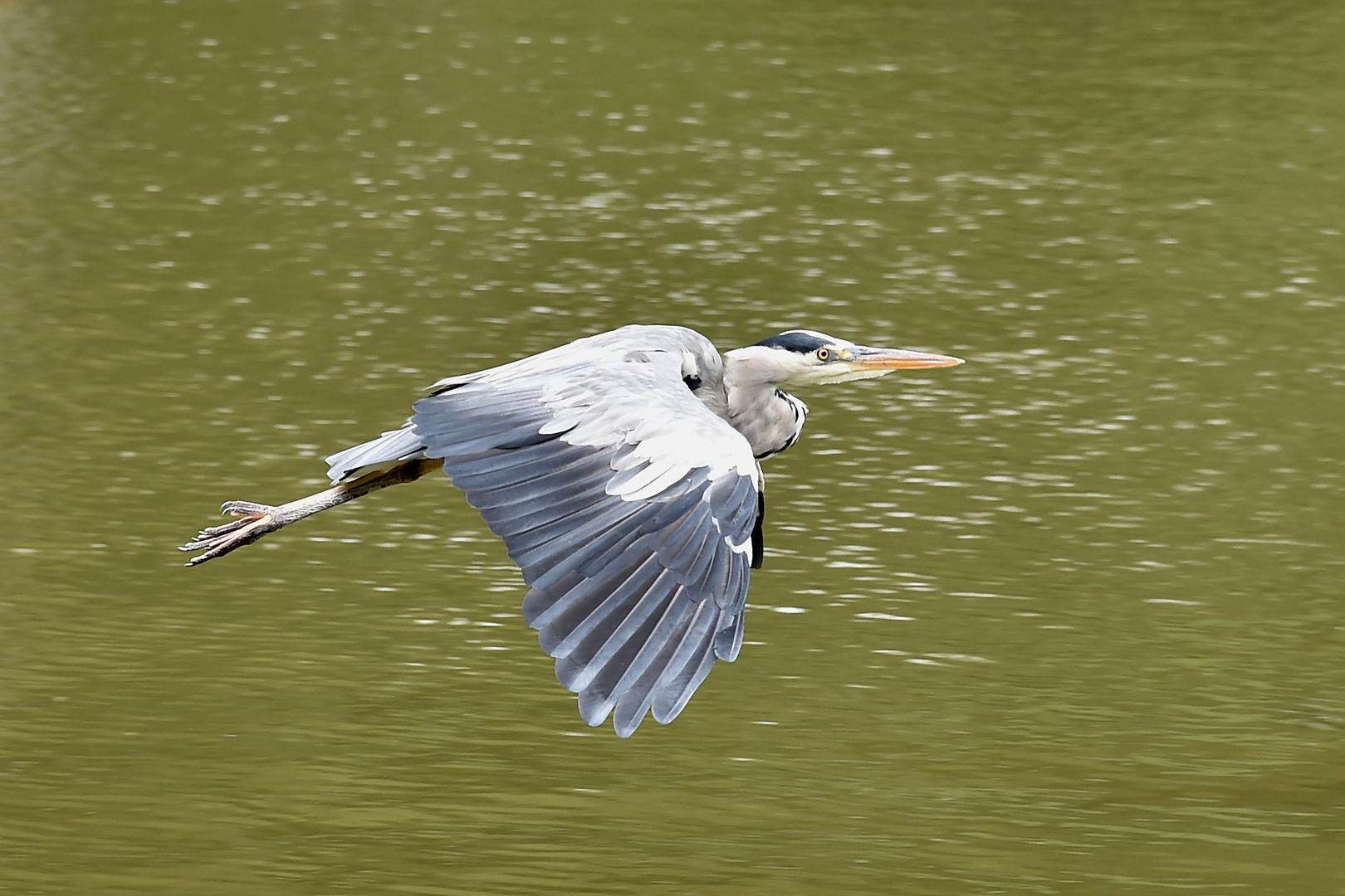 Landeanflug