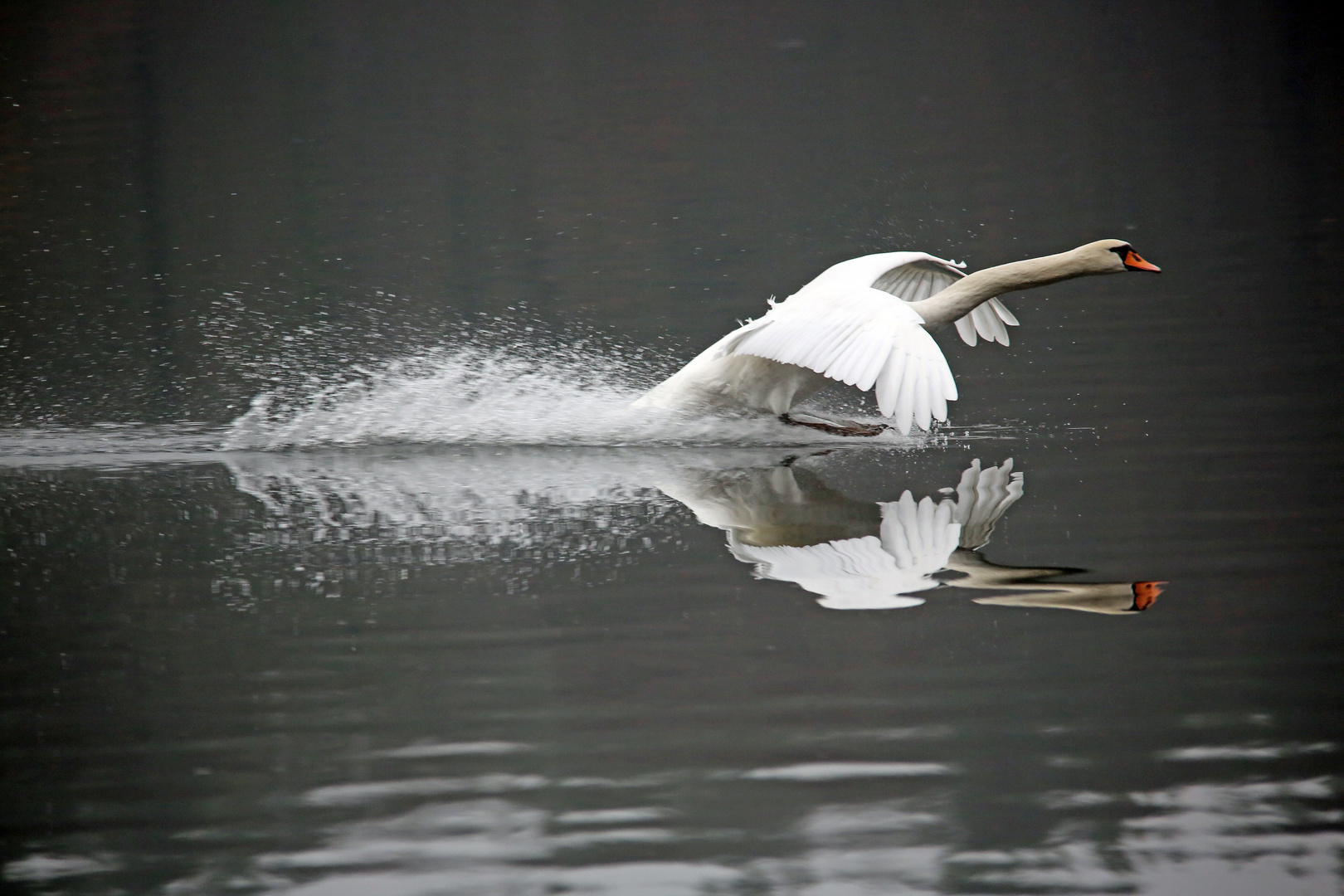 Landeanflug