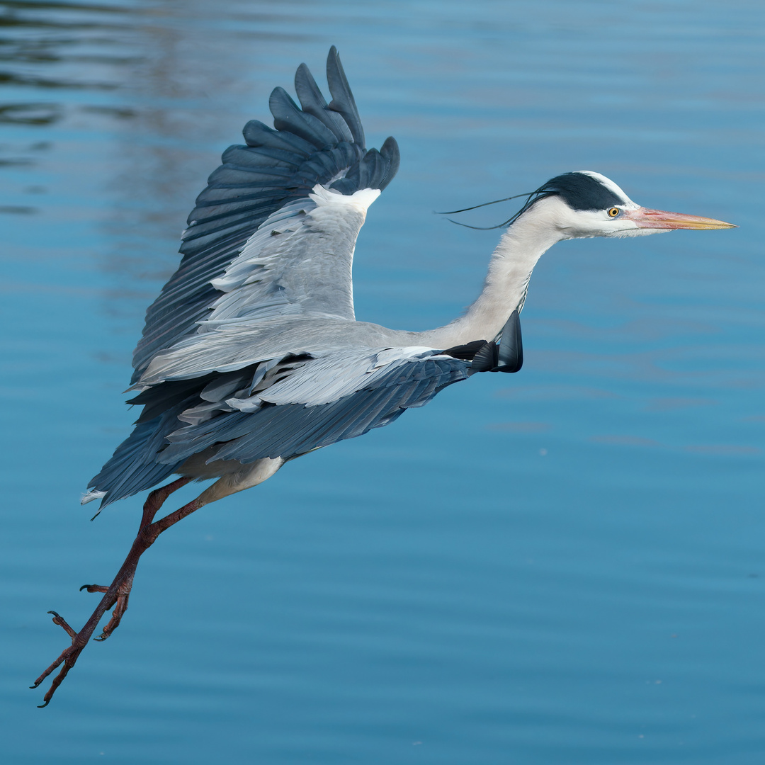 Landeanflug