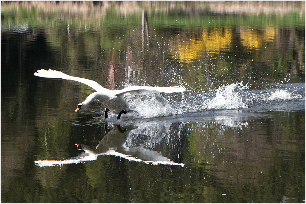 Landeanflug . . .