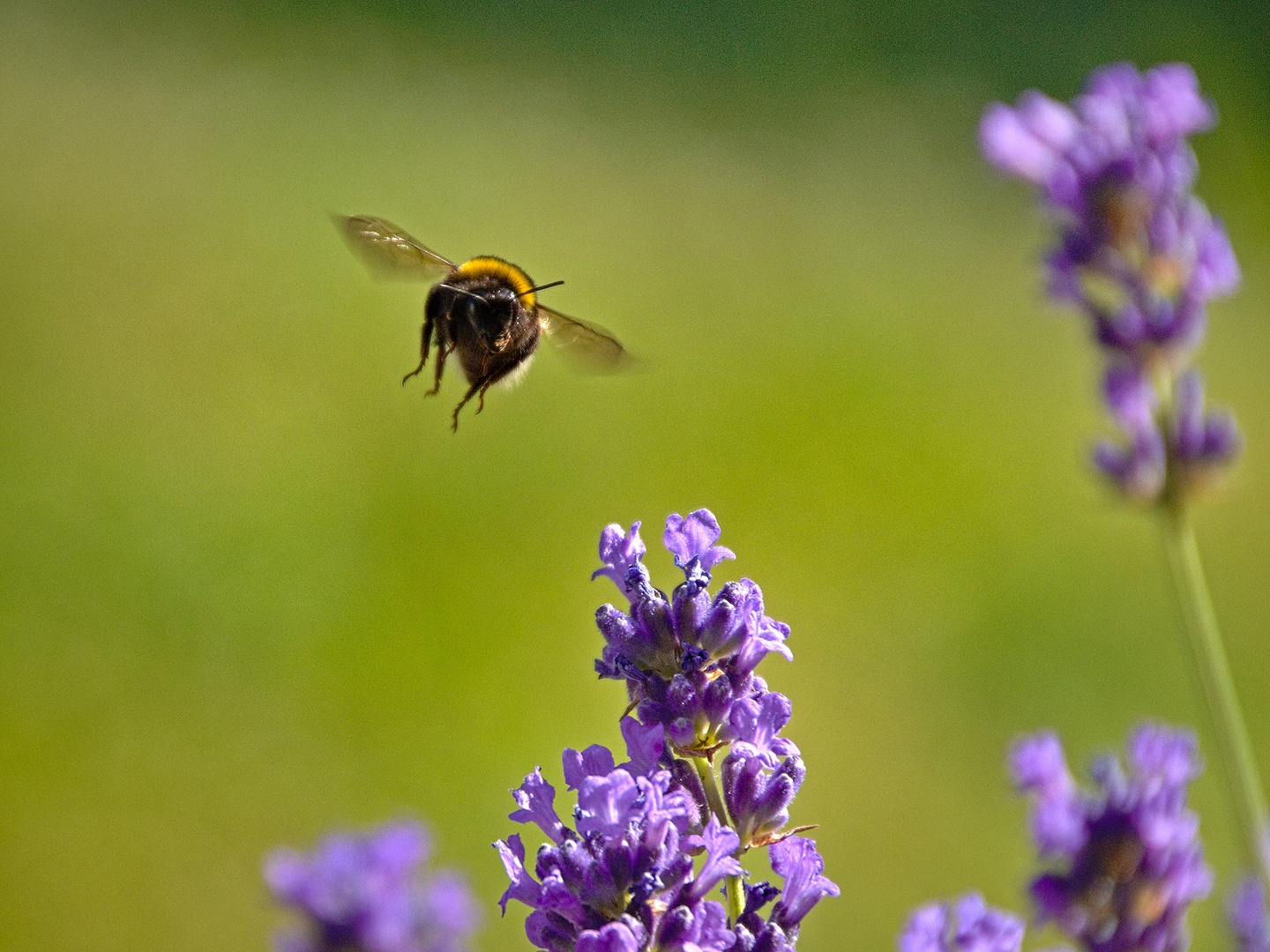 Landeanflug