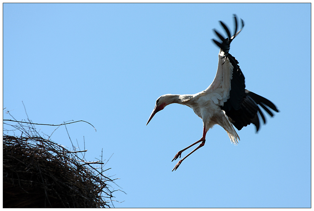 Landeanflug