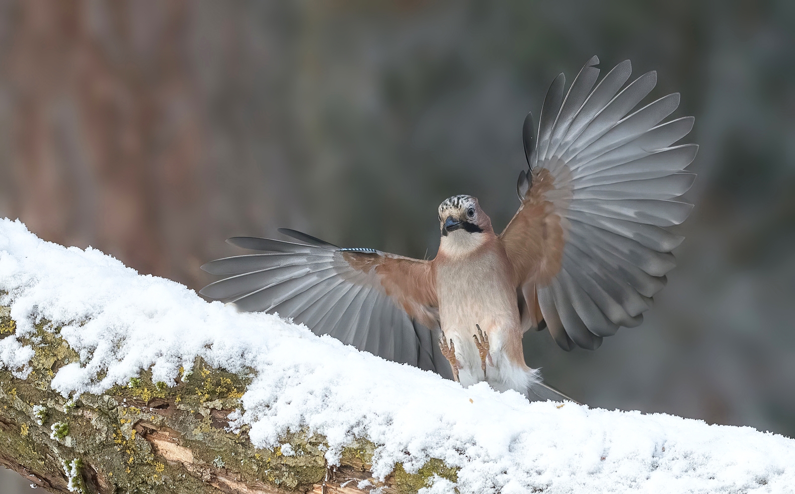 Landeanflug