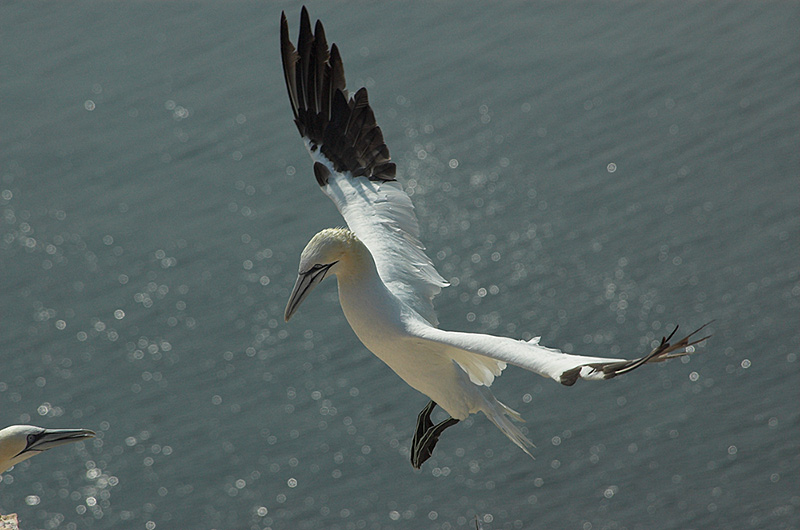 Landeanflug...