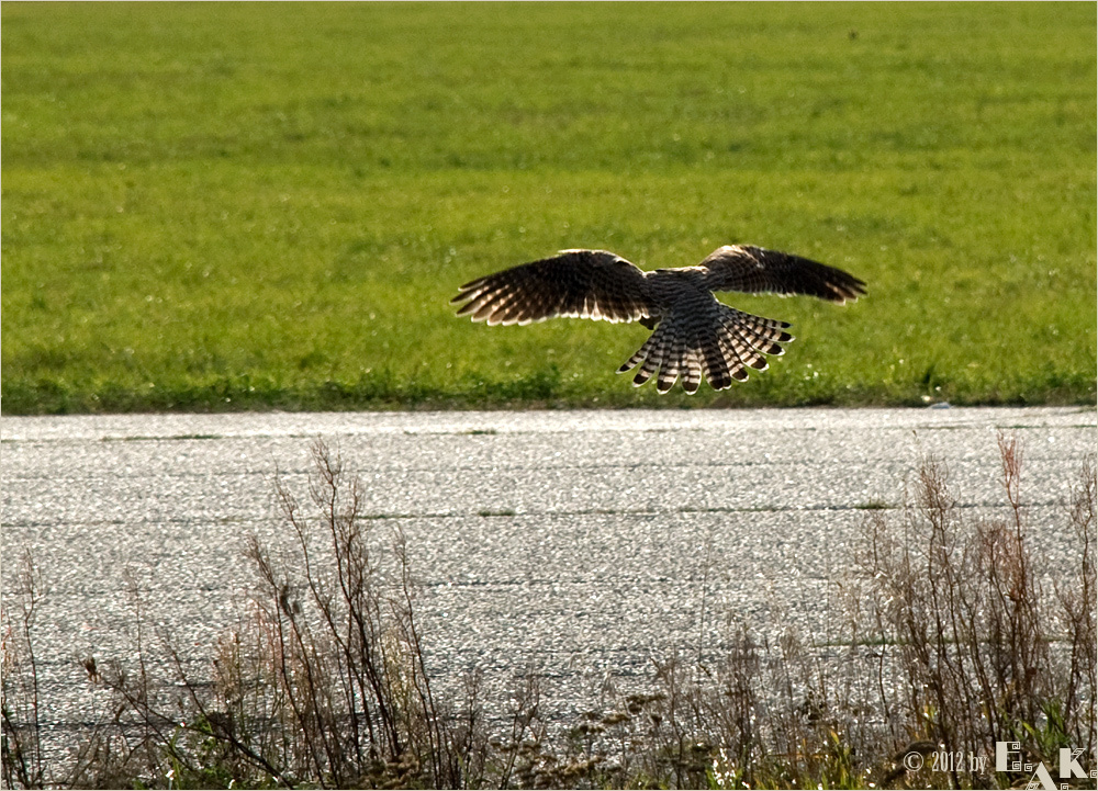 »Landeanflug …«