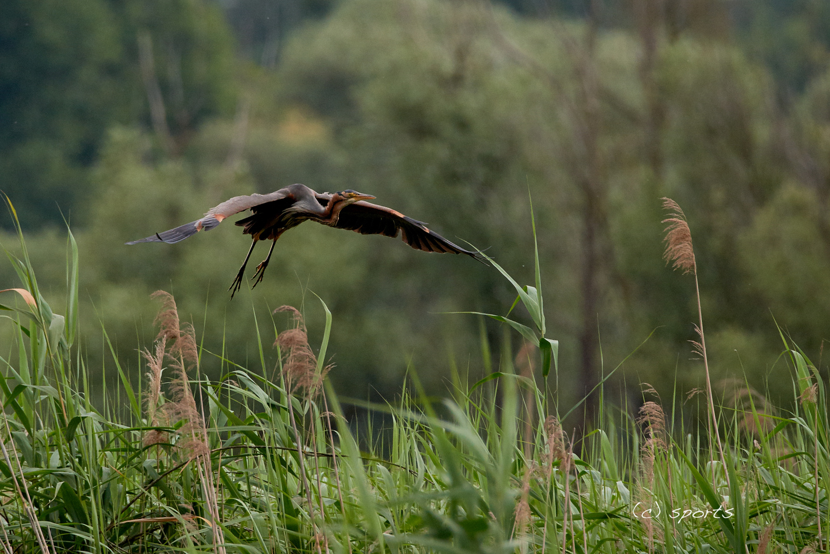 Landeanflug