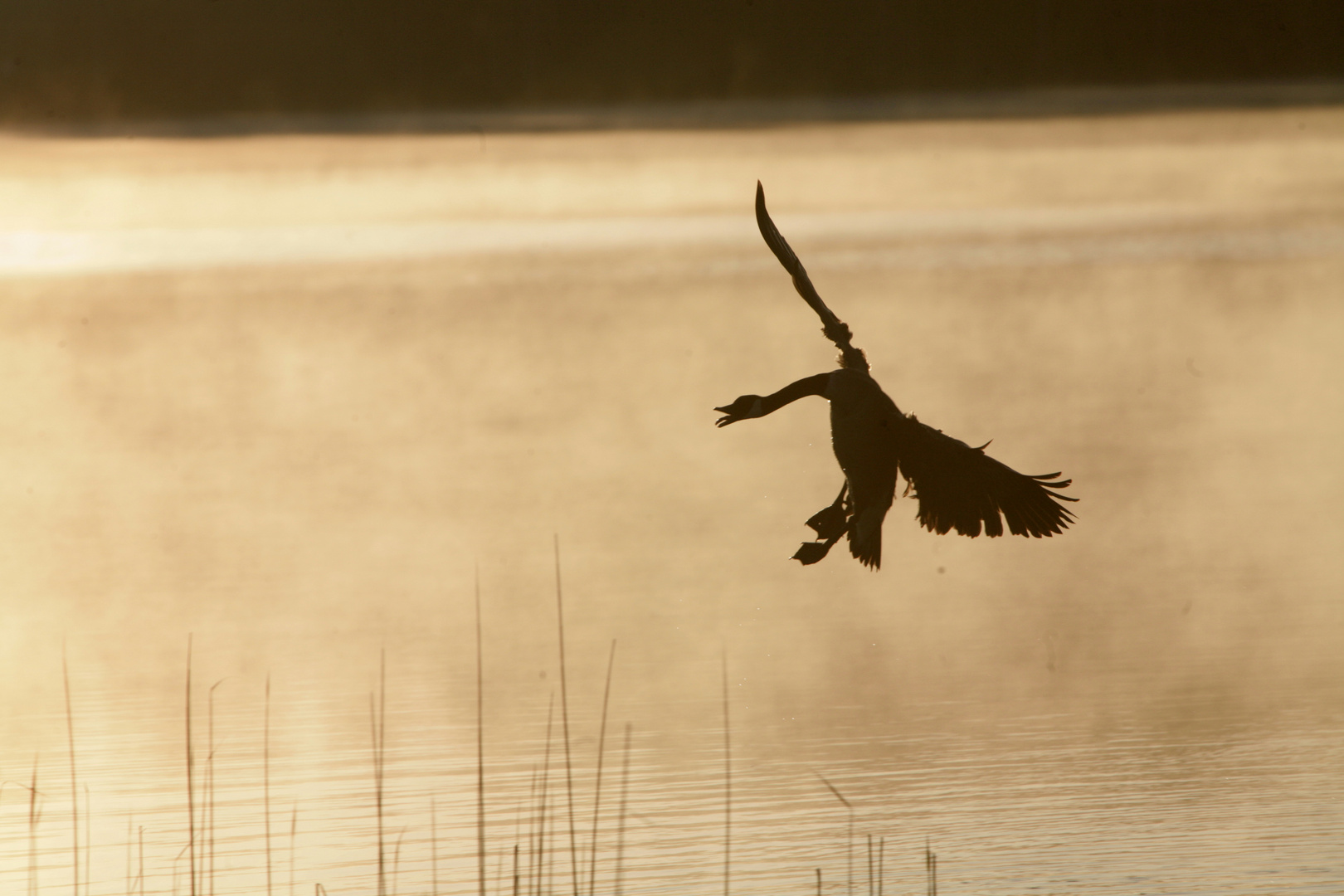 Landeanflug