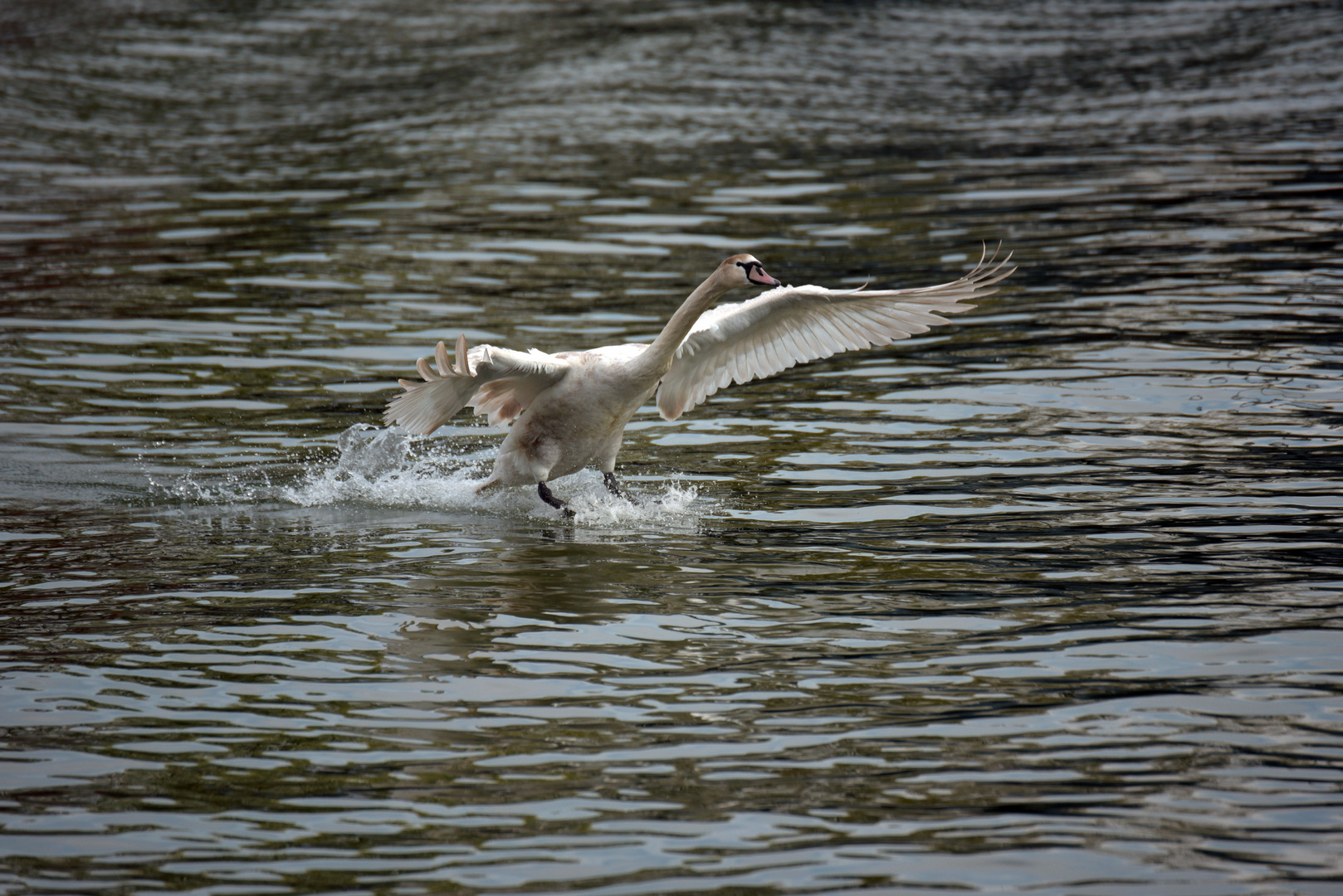 Landeanflug!