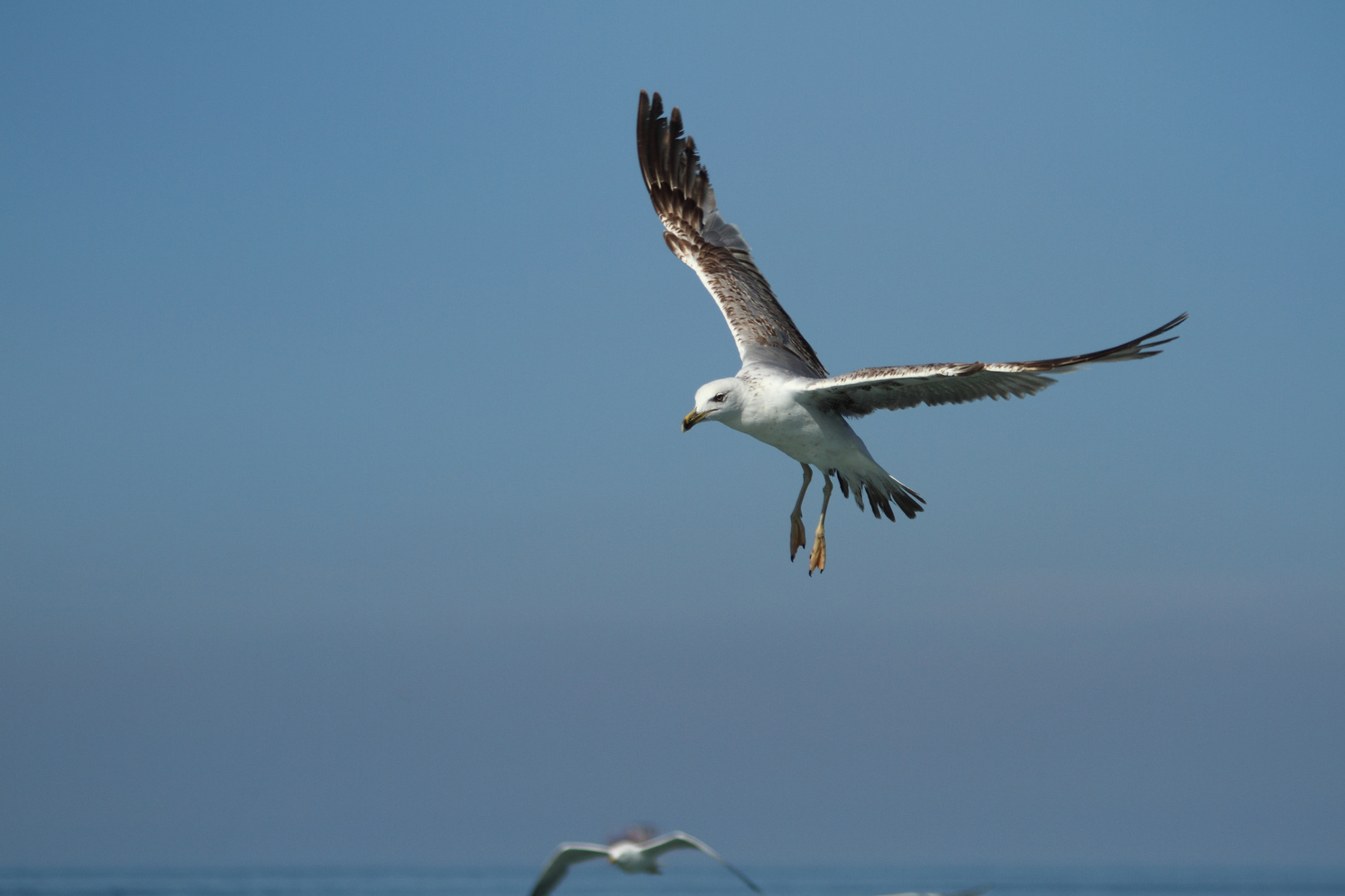 Landeanflug