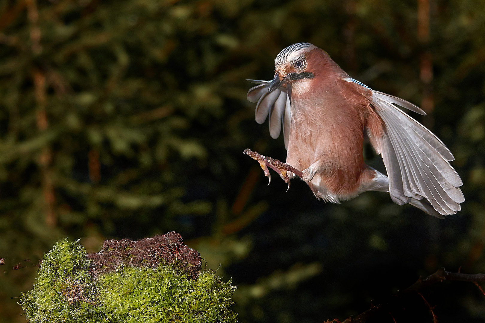 Landeanflug