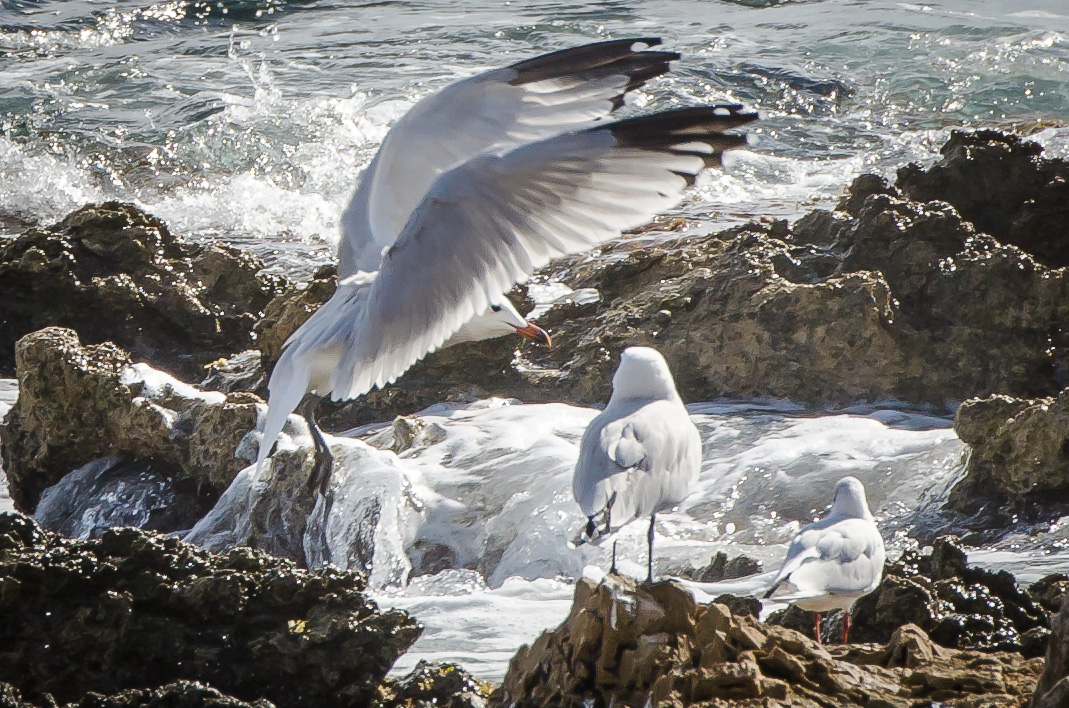 Landeanflug