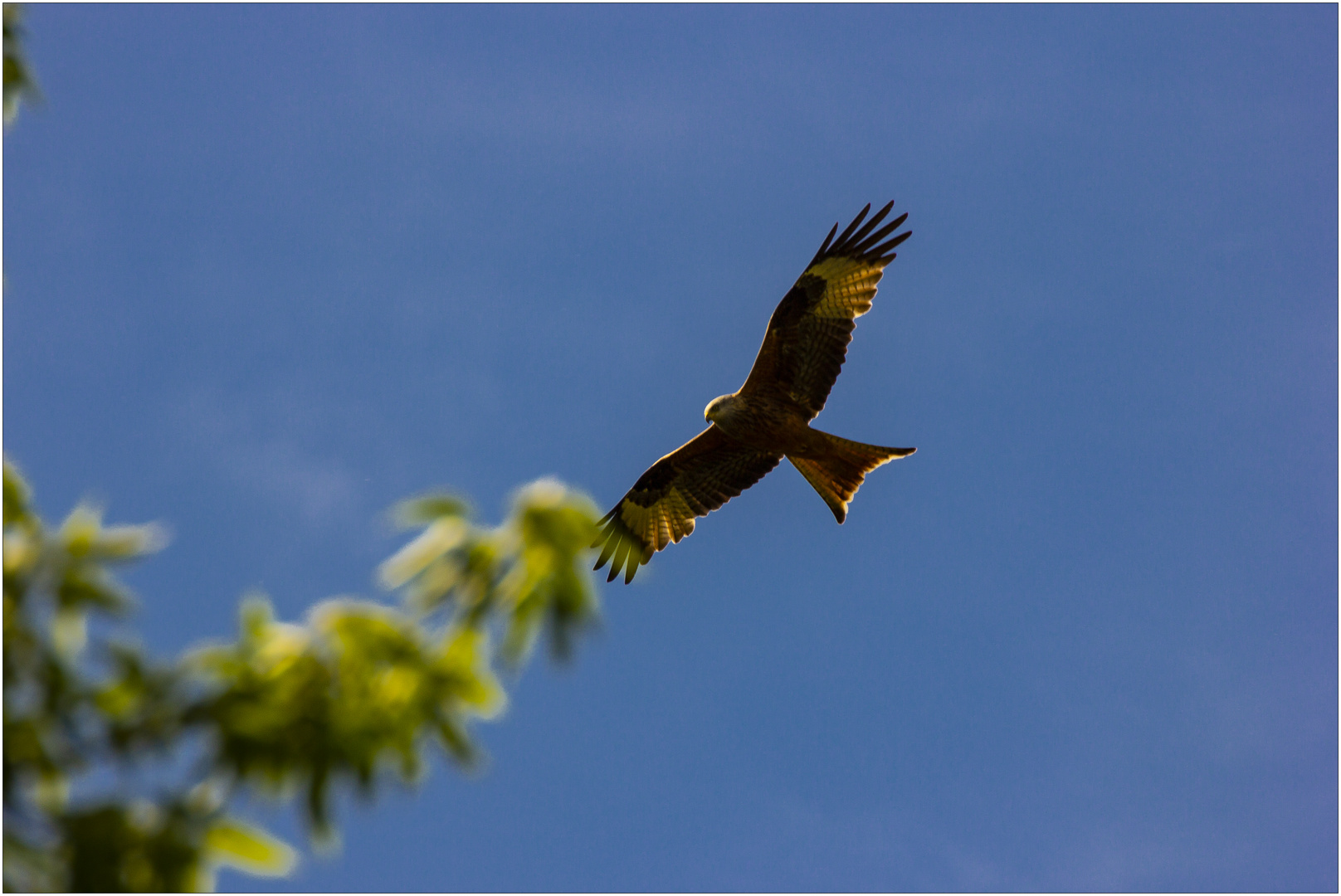 Landeanflug