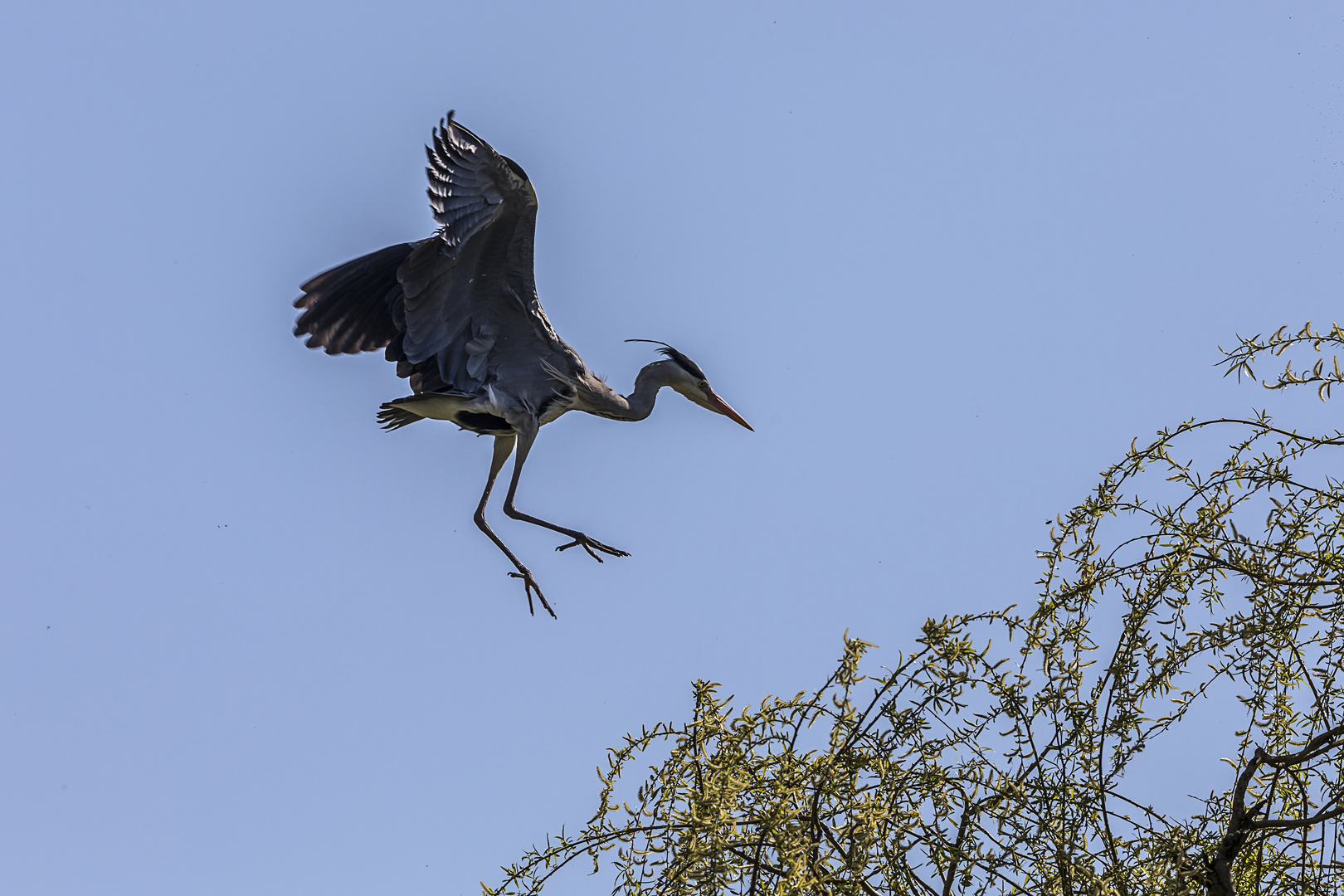 Landeanflug