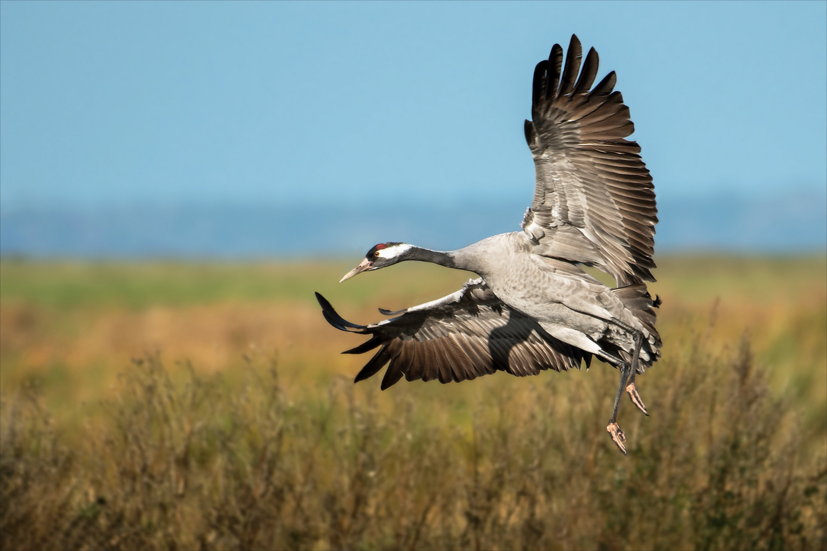 Landeanflug