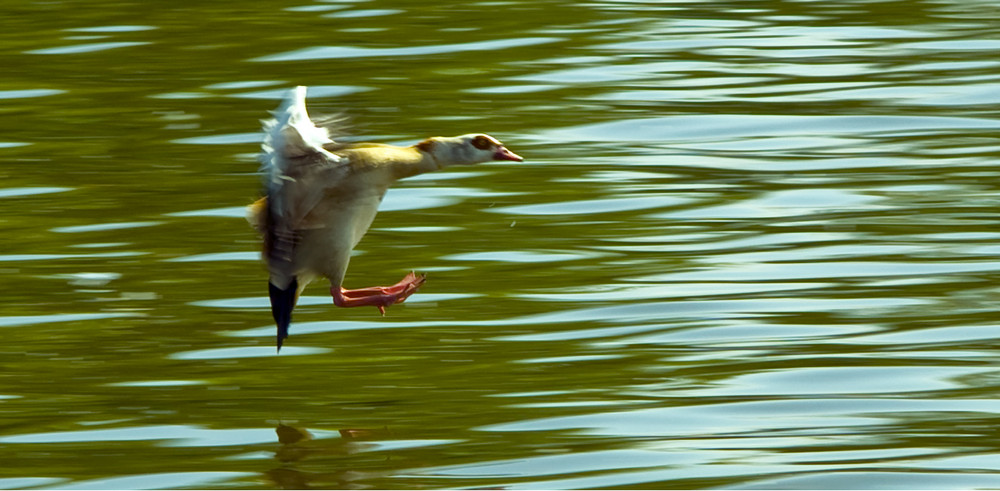 Landeanflug