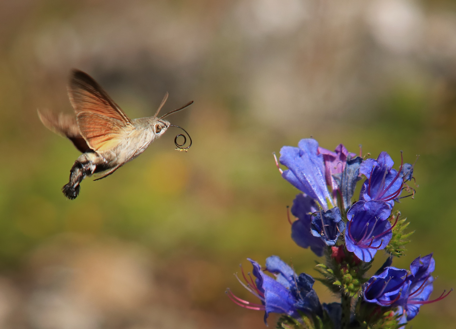 Landeanflug...