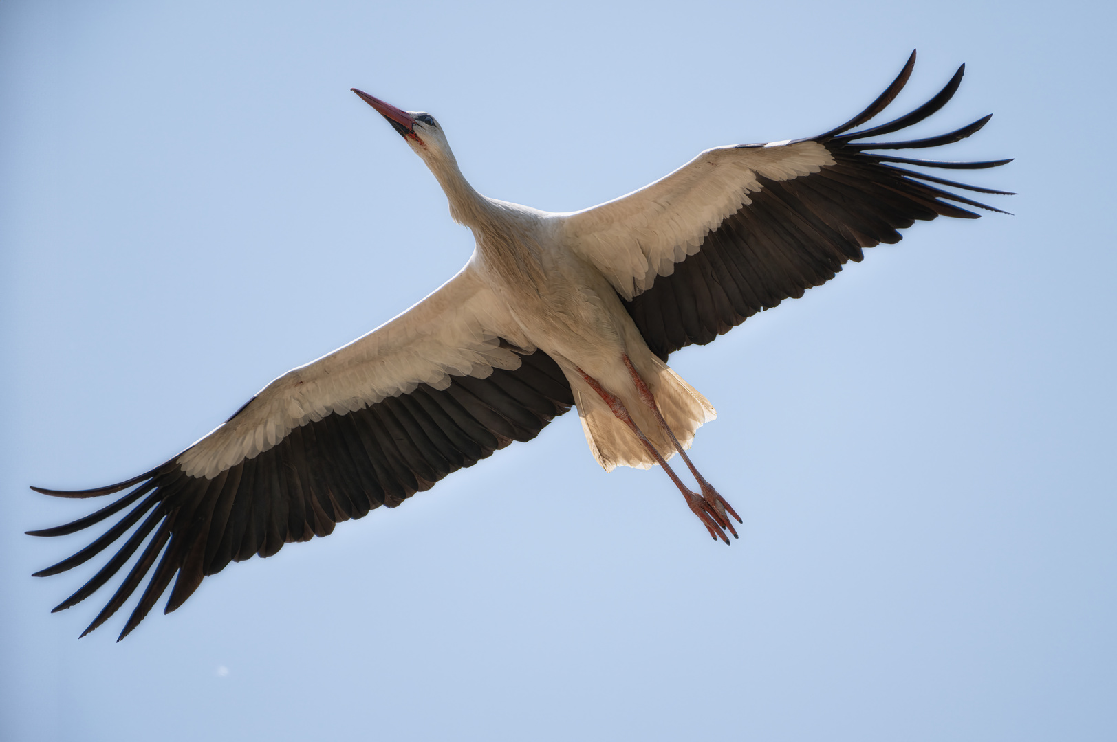 Landeanflug