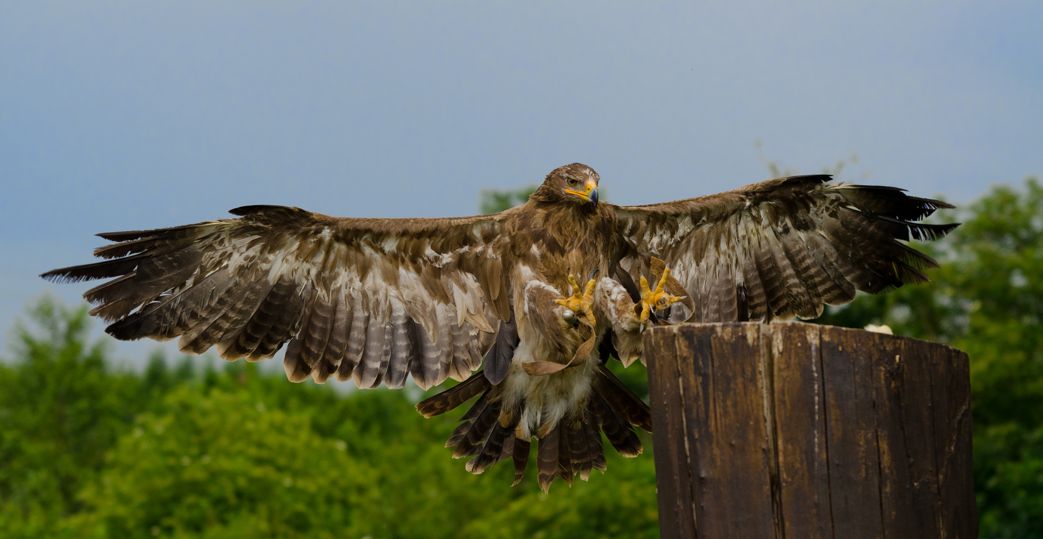 Landeanflug