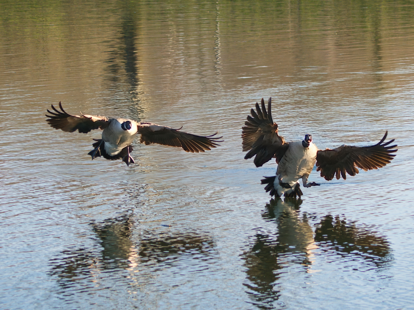 Landeanflug