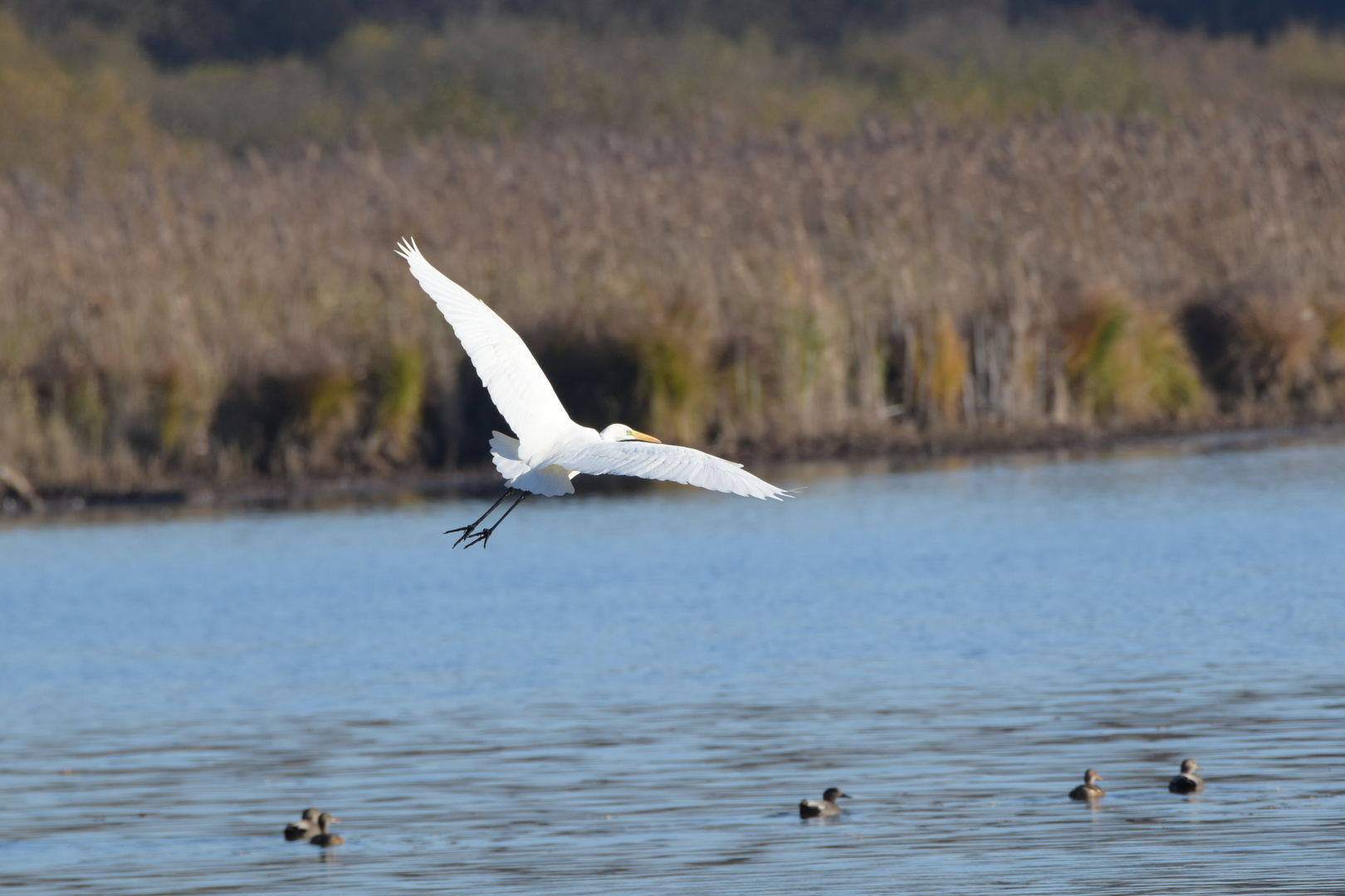 Landeanflug...