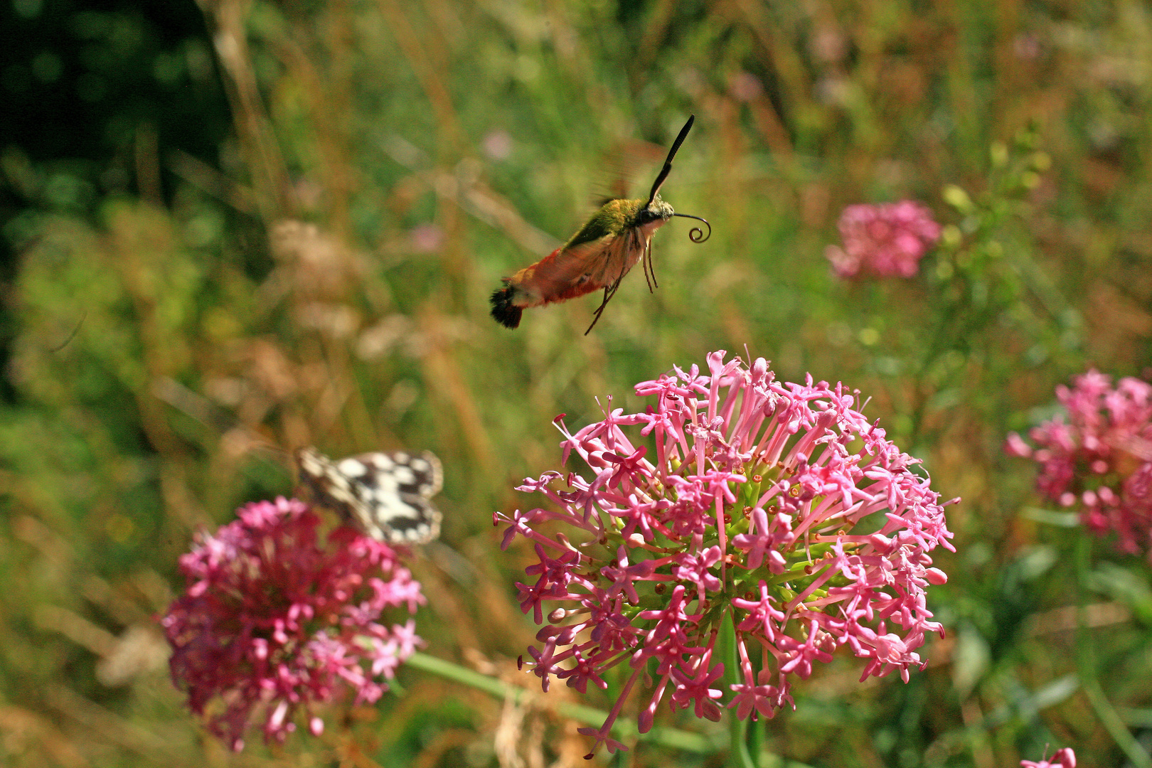 Landeanflug