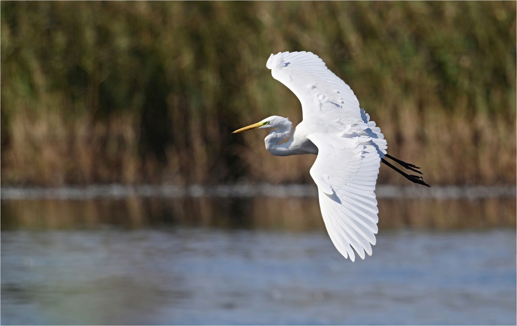 Landeanflug