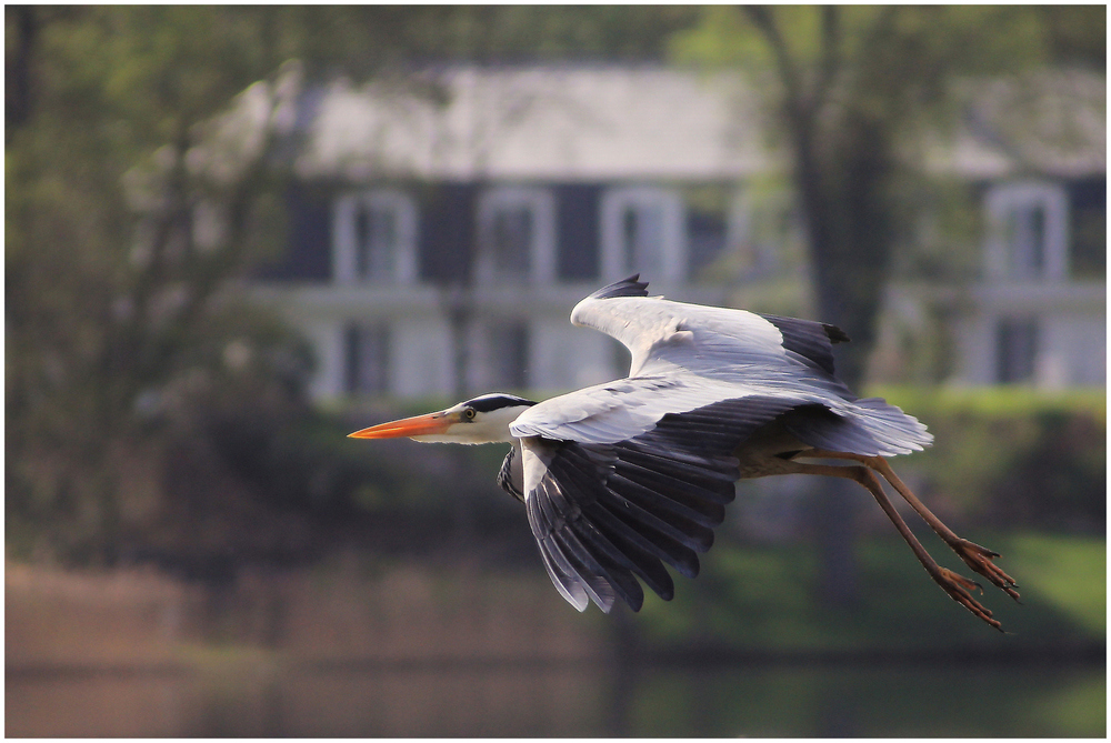 Landeanflug