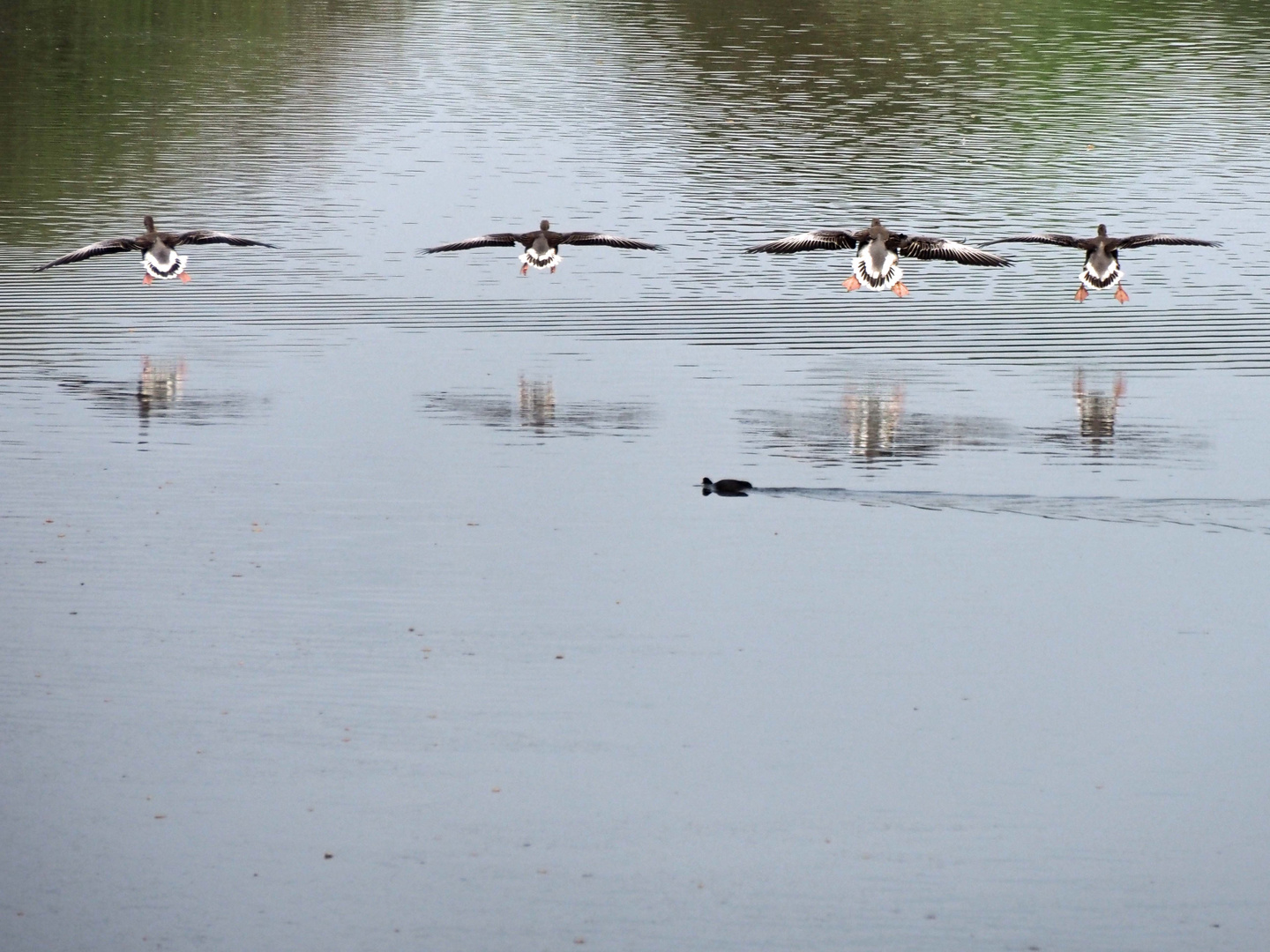 LandeAnflug