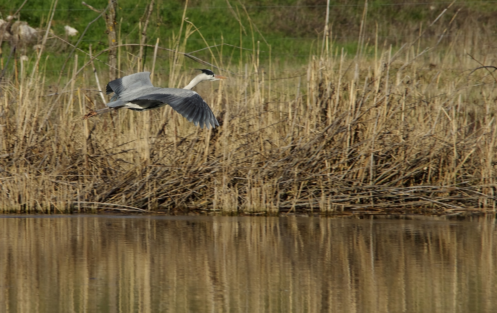 ...Landeanflug