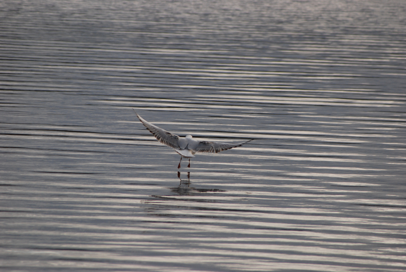 Landeanflug